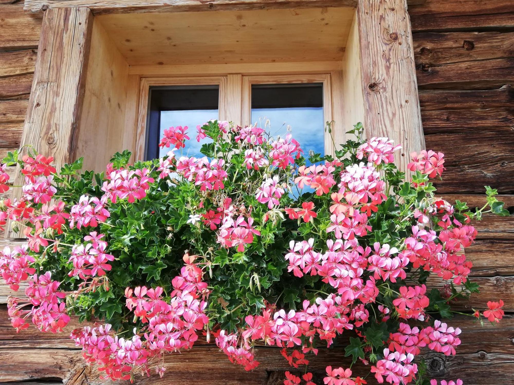 Et Tables D'hotes Le Choton A Nono - Col Du Joly Beaufortain Bed & Breakfast *