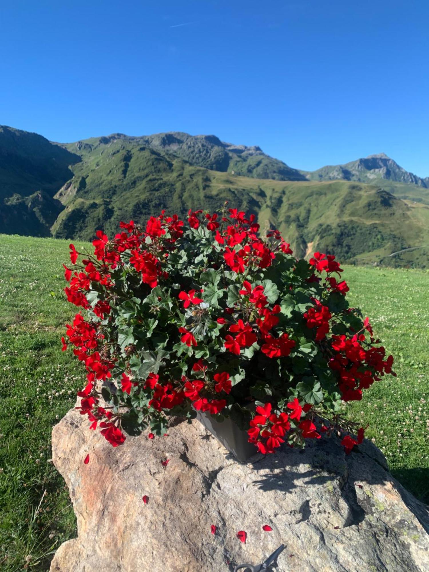 Et Tables D'hotes Le Choton A Nono - Col Du Joly Beaufortain * Hauteluce